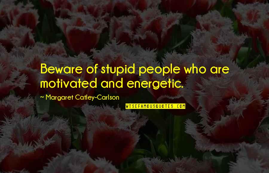 Appartements A Vendre Quotes By Margaret Catley-Carlson: Beware of stupid people who are motivated and