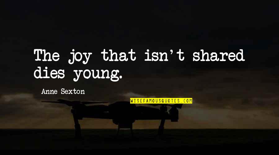 Appelbaum Vision Quotes By Anne Sexton: The joy that isn't shared dies young.