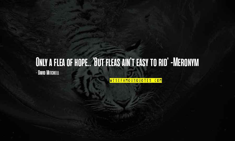 Appelhof B Quotes By David Mitchell: Only a flea of hope.. 'But fleas ain't Appelhof B Quotes By David Mitchell: Only a flea of hope.. 'But fleas ain't