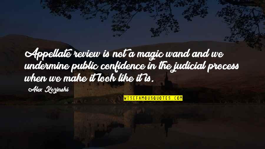 Appellate Quotes By Alex Kozinski: Appellate review is not a magic wand and Appellate Quotes By Alex Kozinski: Appellate review is not a magic wand and