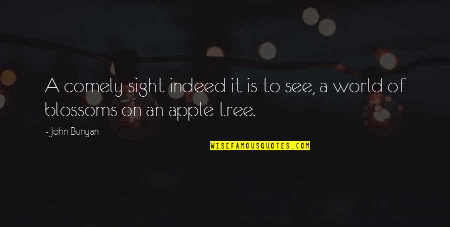 Appena Nati Quotes By John Bunyan: A comely sight indeed it is to see,