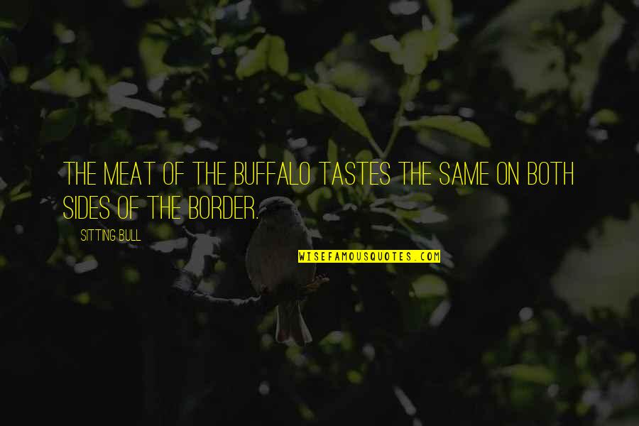 Appetito Sausage Quotes By Sitting Bull: The meat of the buffalo tastes the same