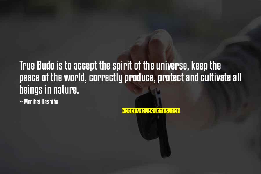 Appice Bros Quotes By Morihei Ueshiba: True Budo is to accept the spirit of