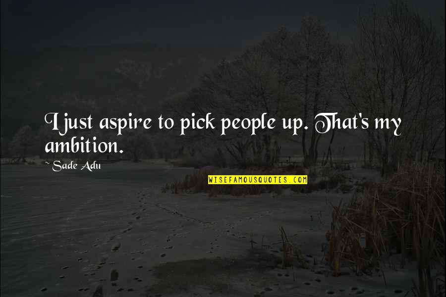 Appies For Christmas Quotes By Sade Adu: I just aspire to pick people up. That's