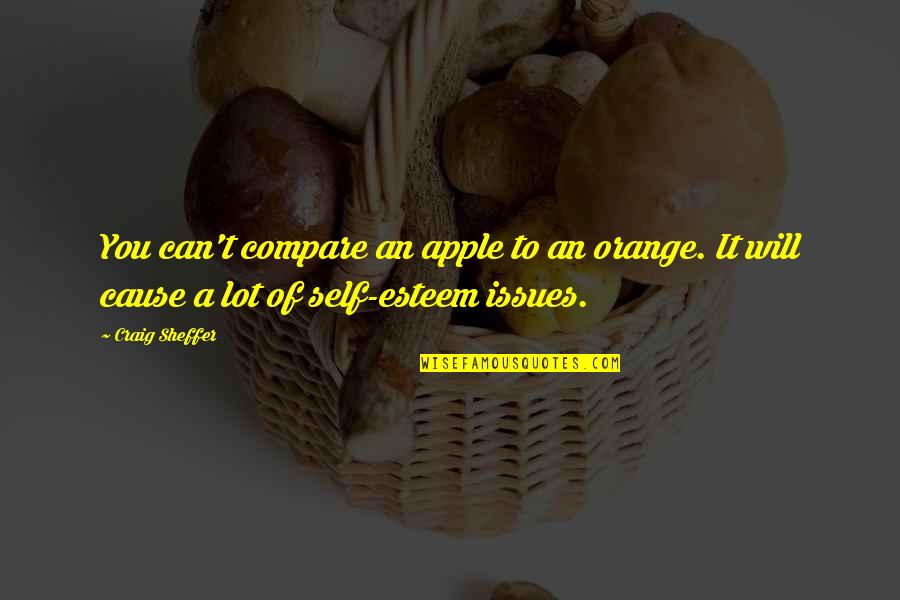 Apple And Orange Quotes By Craig Sheffer: You can't compare an apple to an orange.