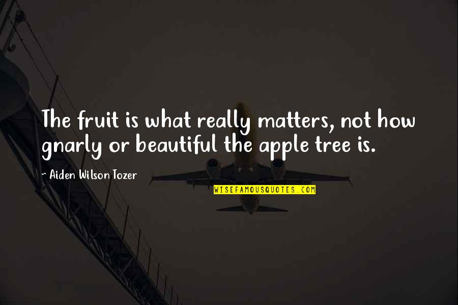 Apple And Tree Quotes By Aiden Wilson Tozer: The fruit is what really matters, not how