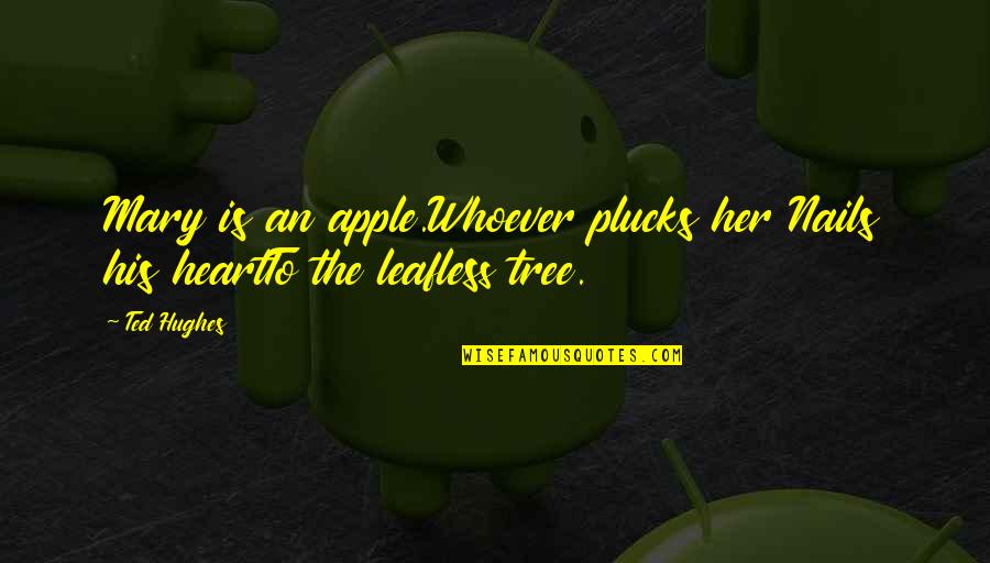 Apple And Tree Quotes By Ted Hughes: Mary is an apple.Whoever plucks her Nails his