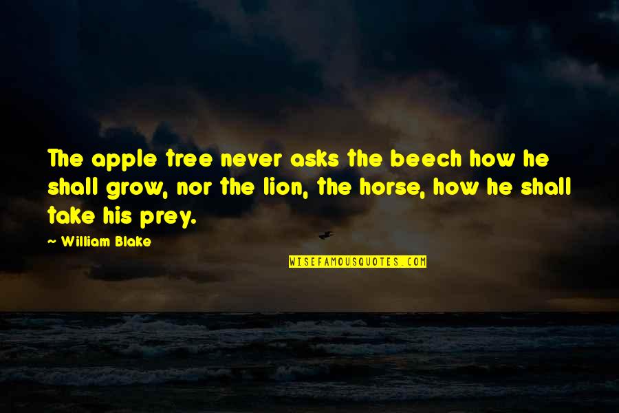 Apple And Tree Quotes By William Blake: The apple tree never asks the beech how