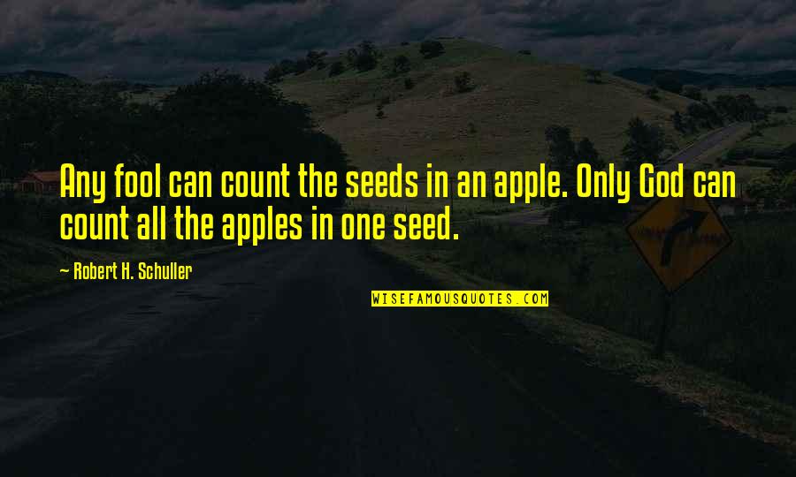 Apple Seeds Quotes By Robert H. Schuller: Any fool can count the seeds in an