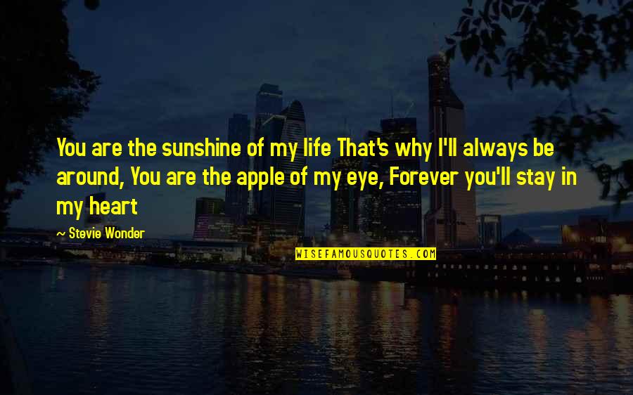 Apple To My Eye Quotes By Stevie Wonder: You are the sunshine of my life That's