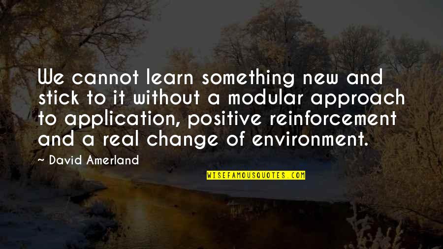 Application Quotes By David Amerland: We cannot learn something new and stick to