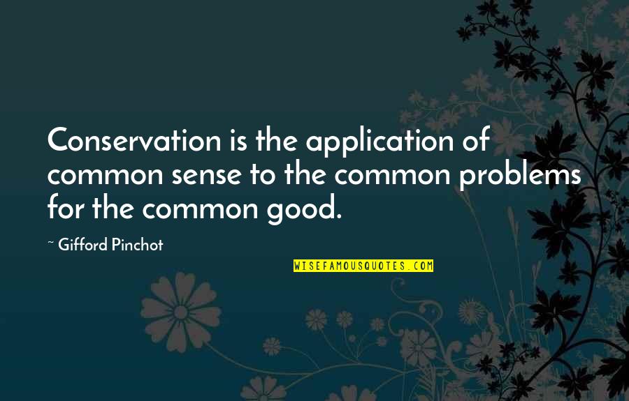 Application Quotes By Gifford Pinchot: Conservation is the application of common sense to