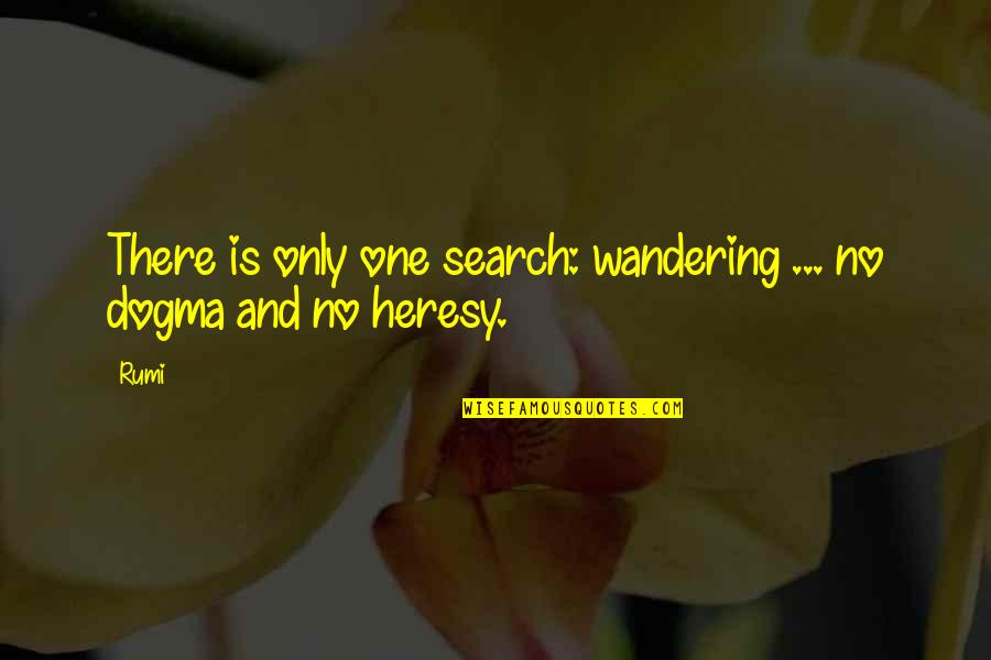 Applied Anthropology Quotes By Rumi: There is only one search: wandering ... no