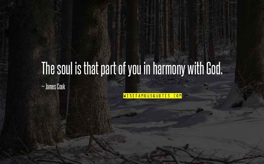 Applied Psychology Quotes By James Cook: The soul is that part of you in