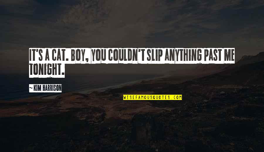 Apply Itunes Quotes By Kim Harrison: It's a cat. Boy, you couldn't slip anything