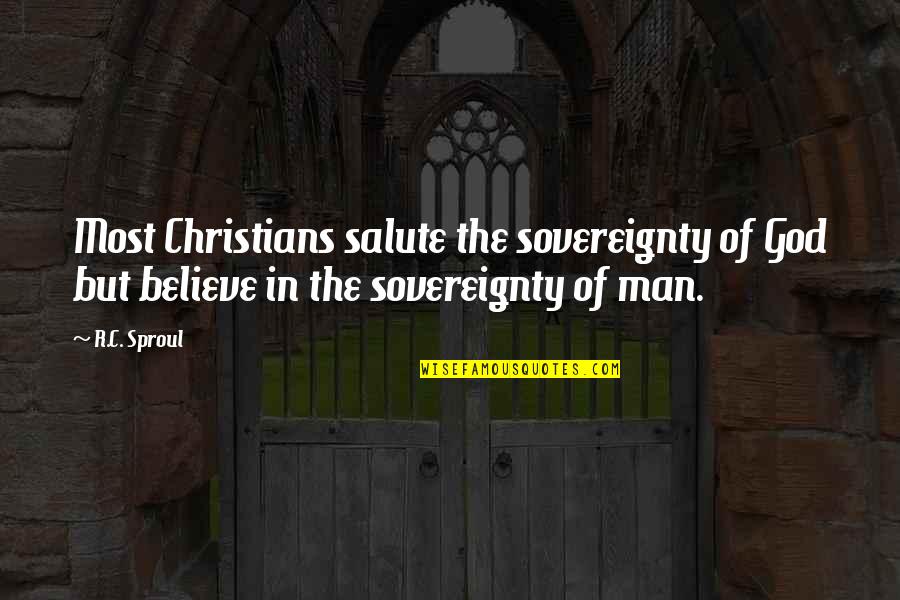 Appointer Settlor Quotes By R.C. Sproul: Most Christians salute the sovereignty of God but