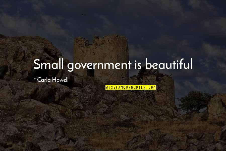 Apprears Quotes By Carla Howell: Small government is beautiful