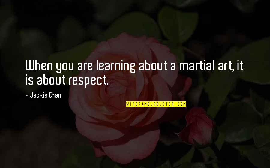 Appreciate Improvements Quotes By Jackie Chan: When you are learning about a martial art,