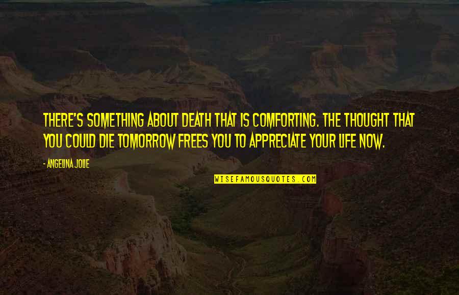 Appreciate Life Death Quotes By Angelina Jolie: There's something about death that is comforting. The