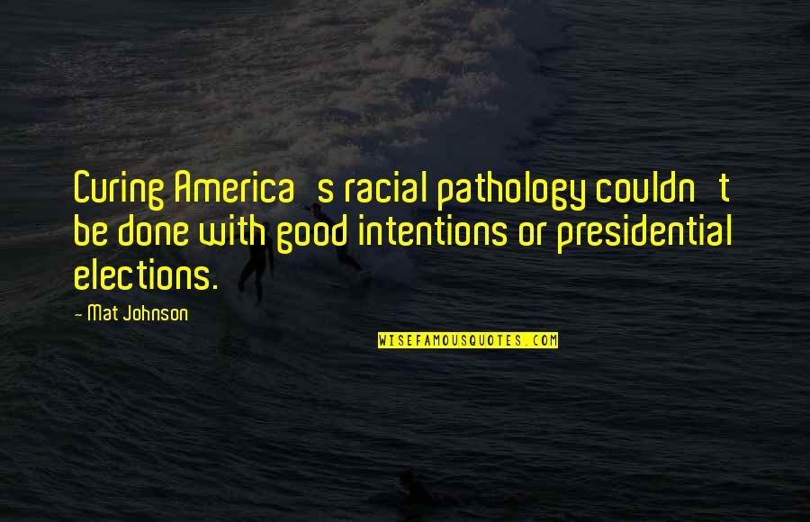 Appreciate My Efforts Quotes By Mat Johnson: Curing America's racial pathology couldn't be done with