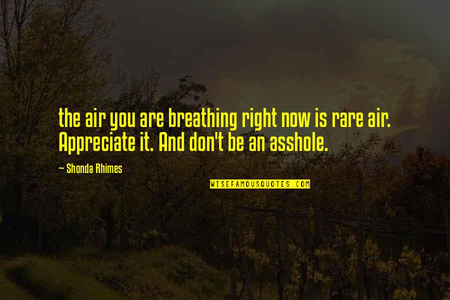 Appreciate The Now Quotes By Shonda Rhimes: the air you are breathing right now is Appreciate The Now Quotes By Shonda Rhimes: the air you are breathing right now is