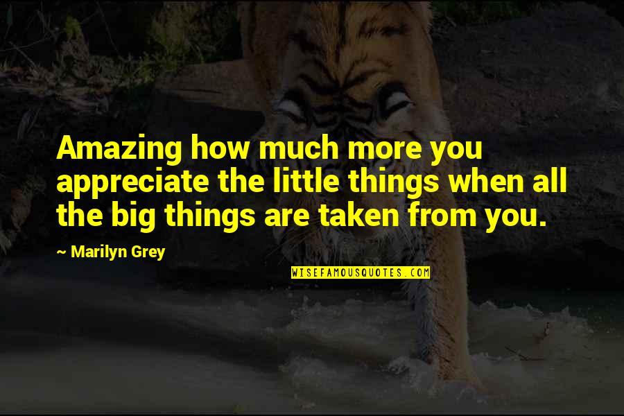 Appreciate The Things Quotes By Marilyn Grey: Amazing how much more you appreciate the little