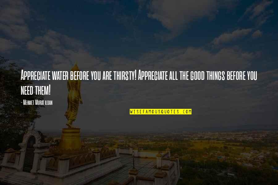 Appreciate The Things Quotes By Mehmet Murat Ildan: Appreciate water before you are thirsty! Appreciate all