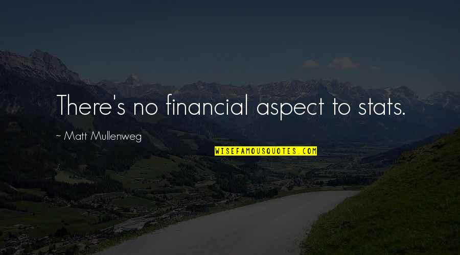 Appreciate Things Before They're Gone Quotes By Matt Mullenweg: There's no financial aspect to stats.