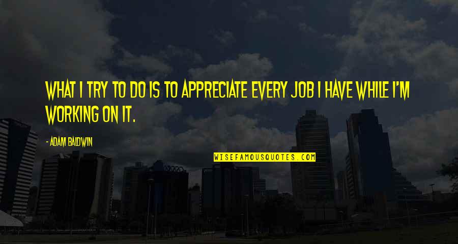 Appreciate What You Do Have Quotes By Adam Baldwin: What I try to do is to appreciate