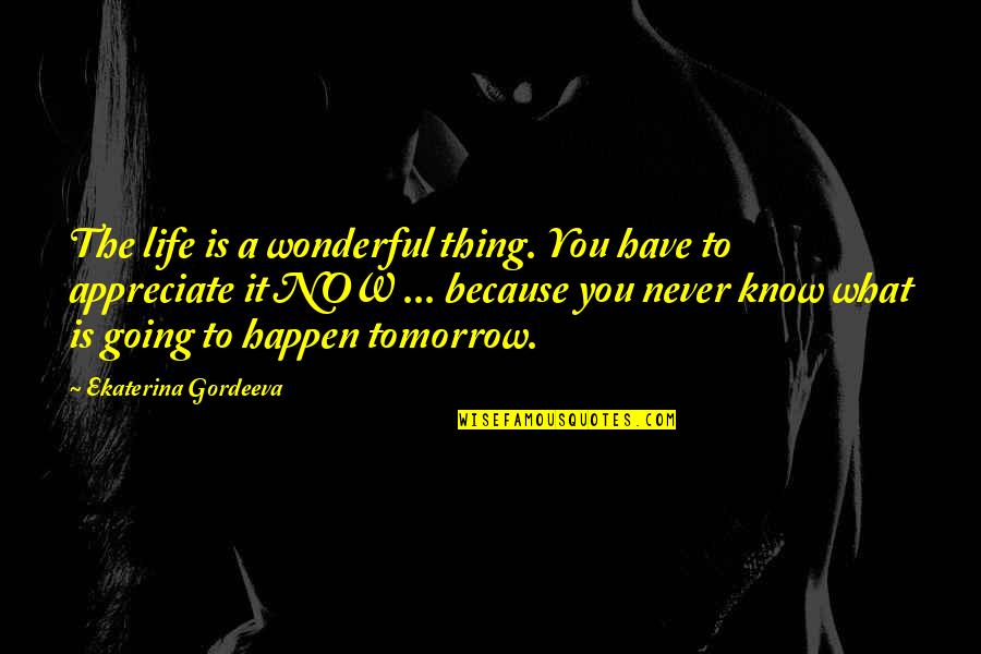 Appreciate What You Have Quotes By Ekaterina Gordeeva: The life is a wonderful thing. You have