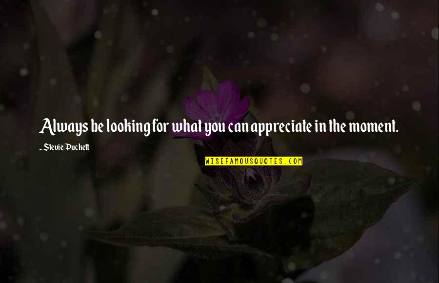 Appreciate What You Quotes By Stevie Puckett: Always be looking for what you can appreciate Appreciate What You Quotes By Stevie Puckett: Always be looking for what you can appreciate