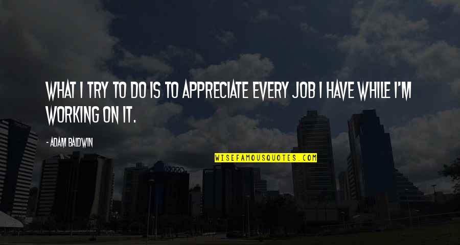 Appreciate Your Job Quotes By Adam Baldwin: What I try to do is to appreciate