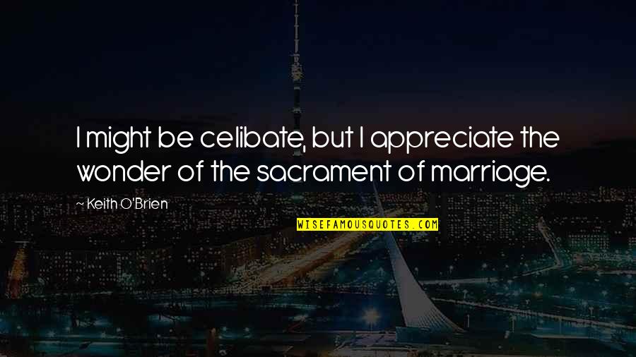 Appreciate Your Marriage Quotes By Keith O'Brien: I might be celibate, but I appreciate the