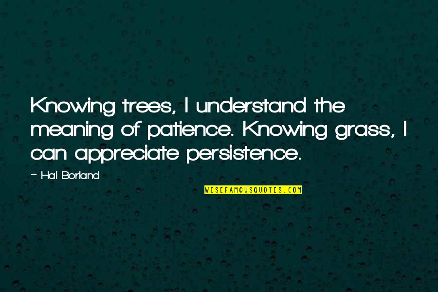 Appreciate Your Patience Quotes By Hal Borland: Knowing trees, I understand the meaning of patience. Appreciate Your Patience Quotes By Hal Borland: Knowing trees, I understand the meaning of patience.