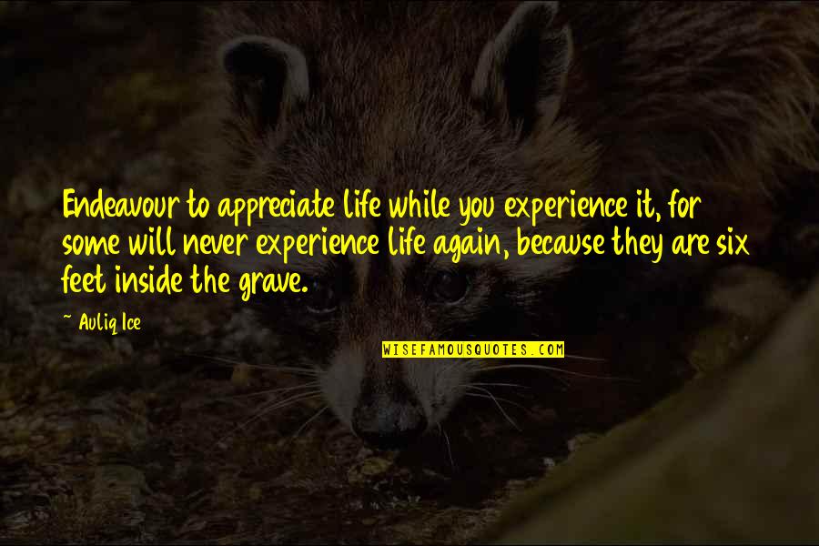 Appreciating Life Quotes By Auliq Ice: Endeavour to appreciate life while you experience it, Appreciating Life Quotes By Auliq Ice: Endeavour to appreciate life while you experience it,