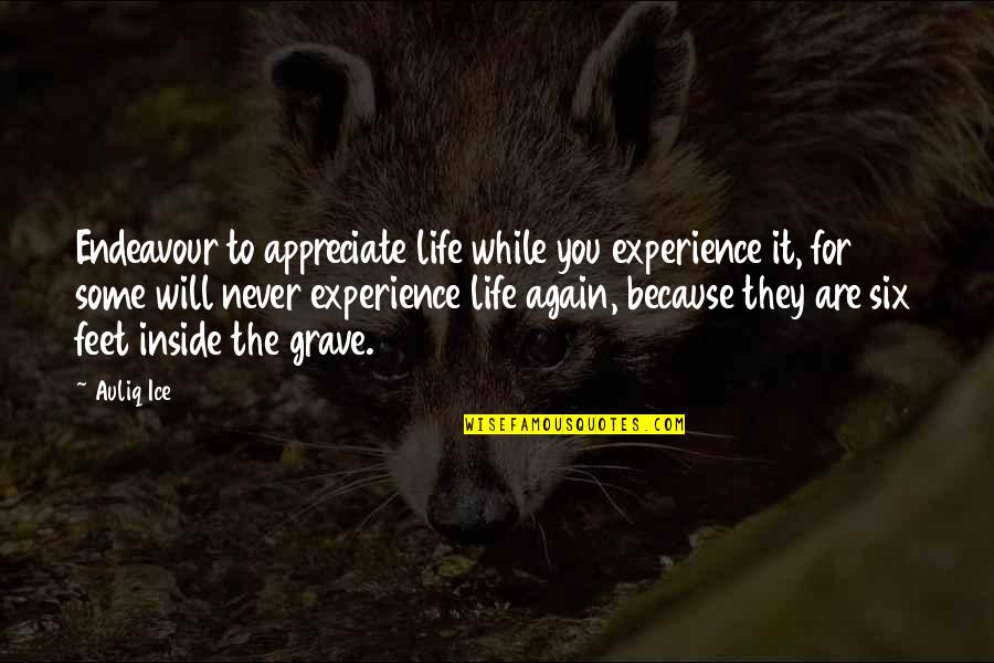 Appreciating My Life Quotes By Auliq Ice: Endeavour to appreciate life while you experience it,