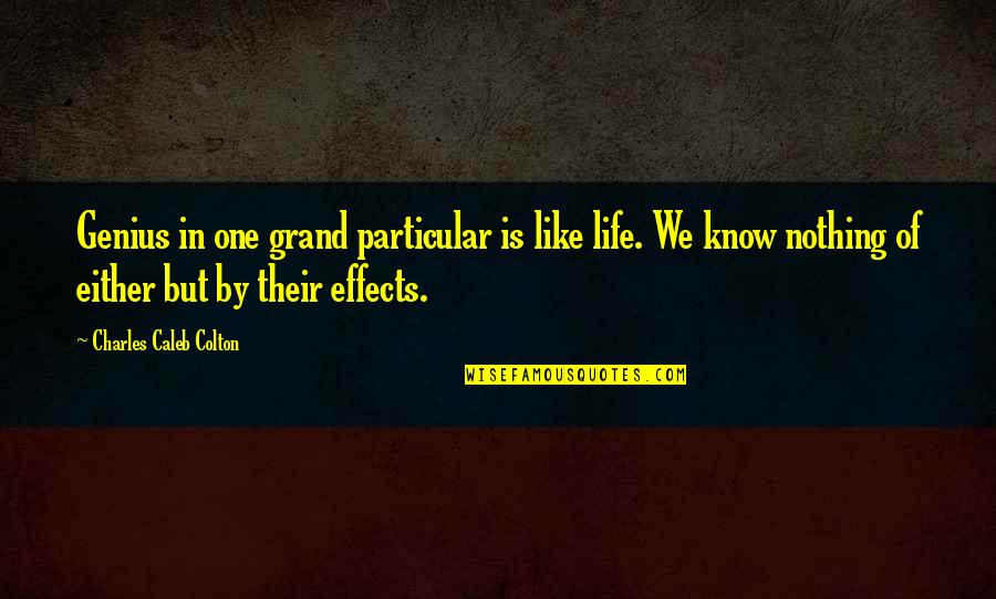 Appreciating Your Worth Quotes By Charles Caleb Colton: Genius in one grand particular is like life.