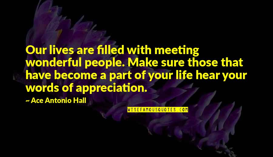 Appreciation For Friends Quotes By Ace Antonio Hall: Our lives are filled with meeting wonderful people.