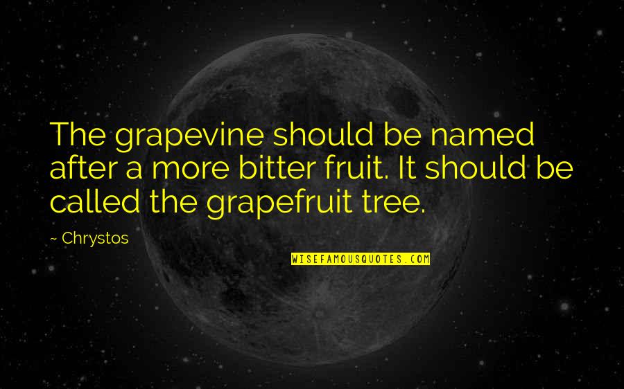 Appreciation For Good Work Quotes By Chrystos: The grapevine should be named after a more