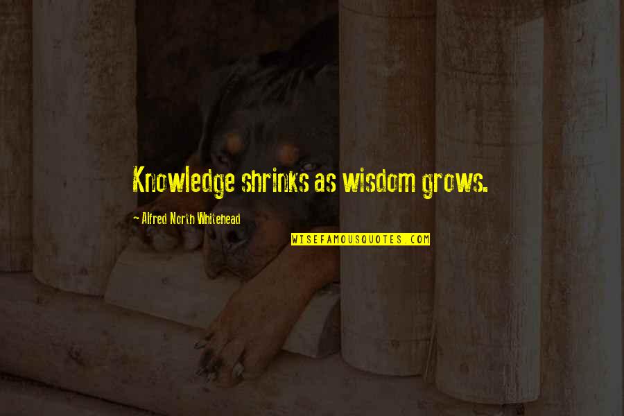 Appreciation For Military Service Quotes By Alfred North Whitehead: Knowledge shrinks as wisdom grows. Appreciation For Military Service Quotes By Alfred North Whitehead: Knowledge shrinks as wisdom grows.