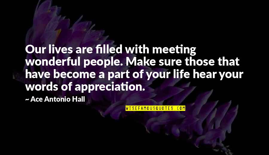 Appreciation Of Love Quotes By Ace Antonio Hall: Our lives are filled with meeting wonderful people.