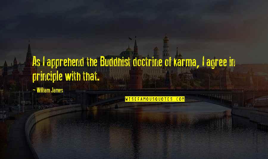 Apprehend Quotes By William James: As I apprehend the Buddhist doctrine of karma,