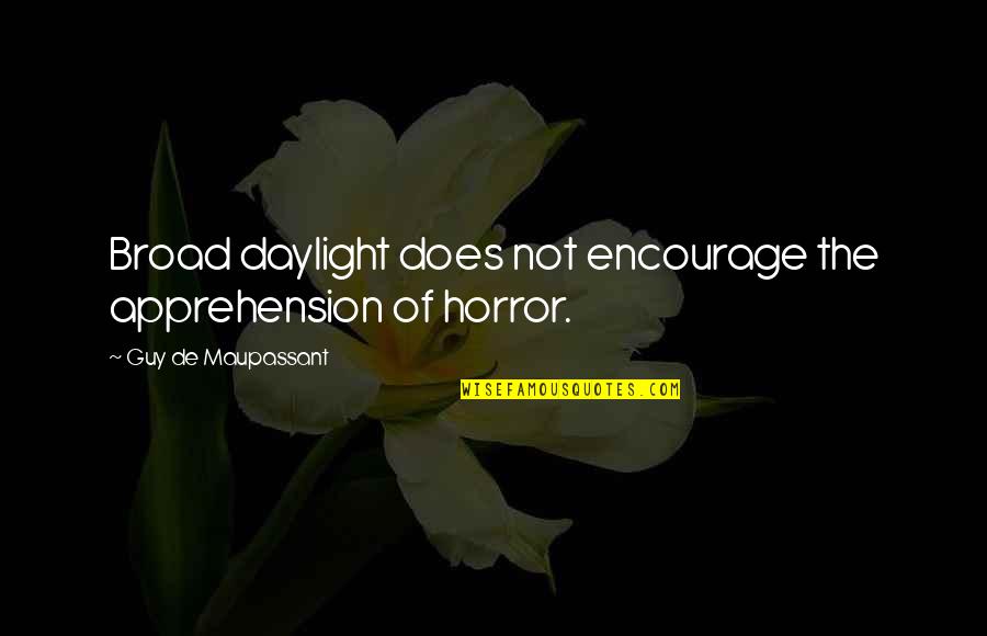 Apprehension Quotes By Guy De Maupassant: Broad daylight does not encourage the apprehension of