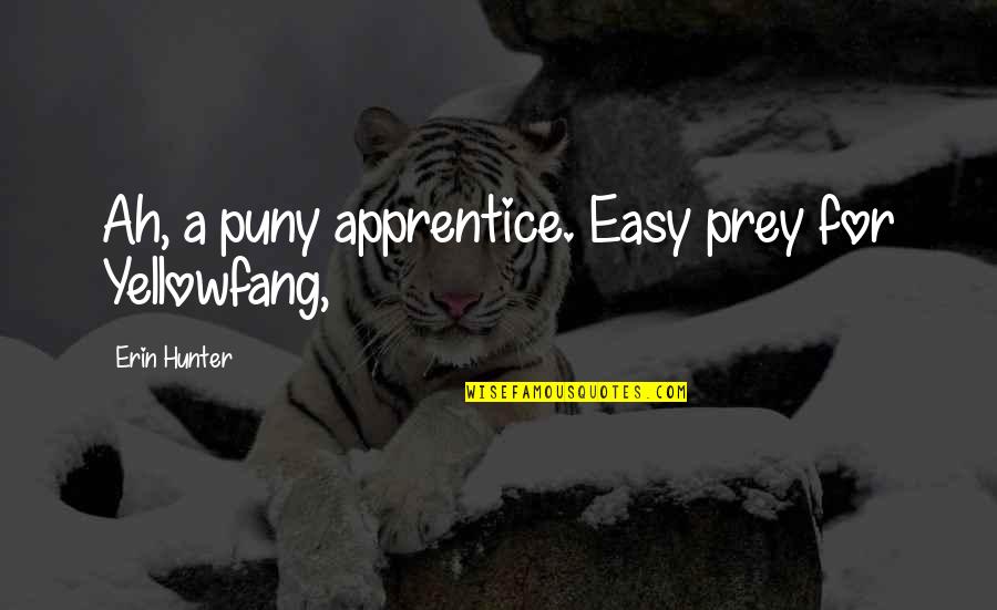 Apprentice's Quotes By Erin Hunter: Ah, a puny apprentice. Easy prey for Yellowfang,