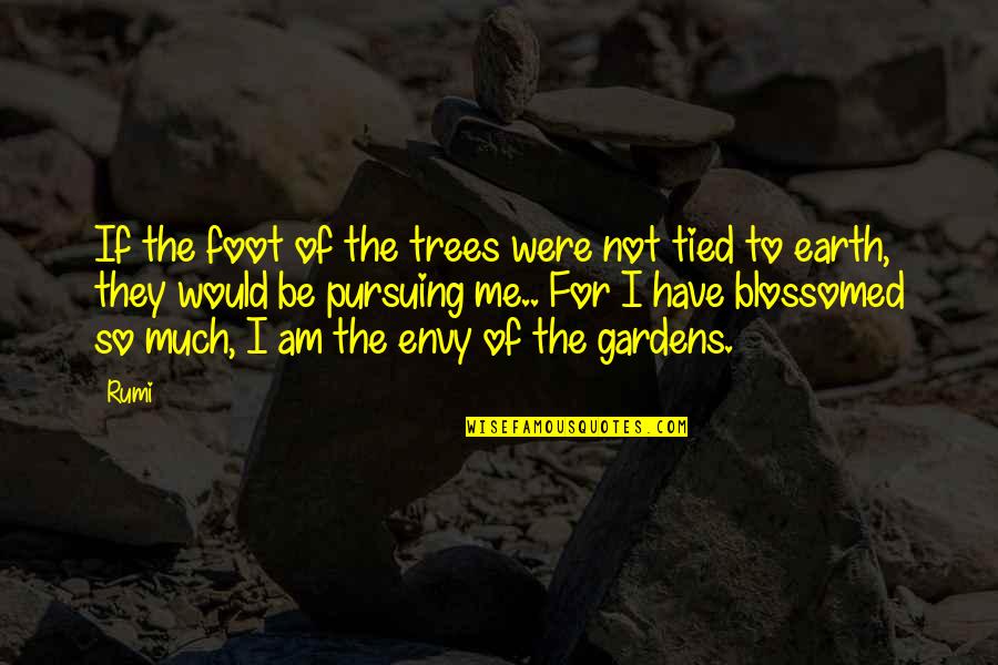 Approachestam Quotes By Rumi: If the foot of the trees were not