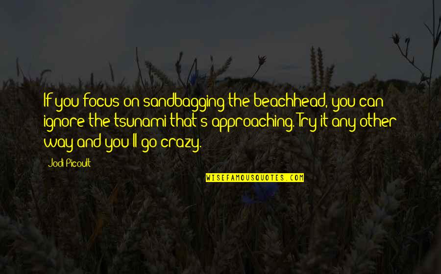 Approaching Quotes By Jodi Picoult: If you focus on sandbagging the beachhead, you