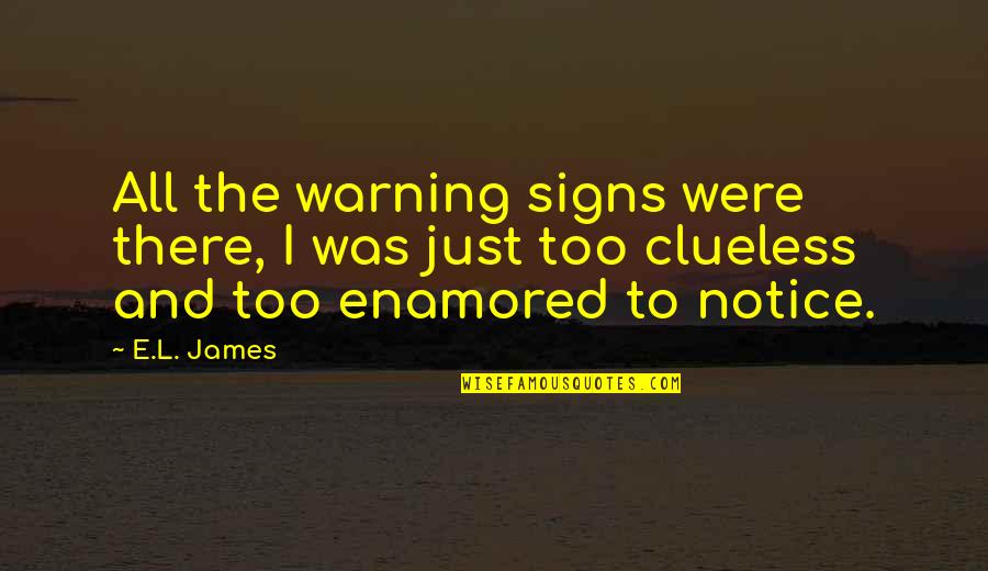 Approche Holistique Quotes By E.L. James: All the warning signs were there, I was