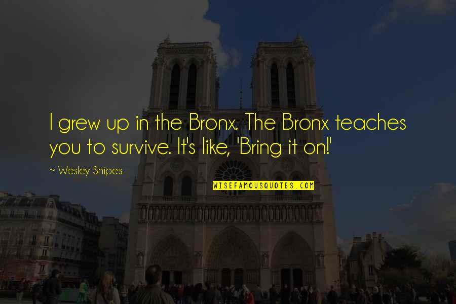 Appropriate Death Quotes By Wesley Snipes: I grew up in the Bronx. The Bronx