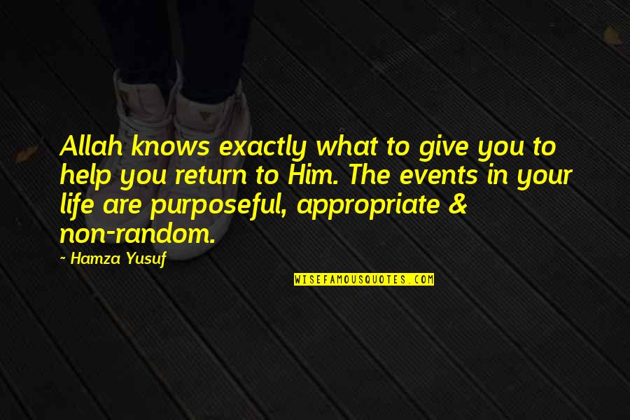 Appropriate Life Quotes By Hamza Yusuf: Allah knows exactly what to give you to