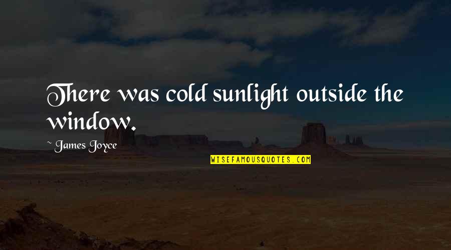 Apreciar Definicion Quotes By James Joyce: There was cold sunlight outside the window. Apreciar Definicion Quotes By James Joyce: There was cold sunlight outside the window.